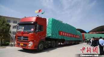 甘肅對 '一帶一路' 沿線國家貿易額大幅增長，運輸通道作用凸顯